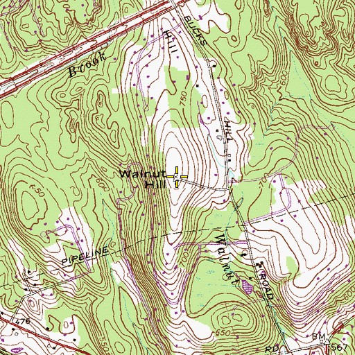 Topographic Map of Walnut Hill, CT