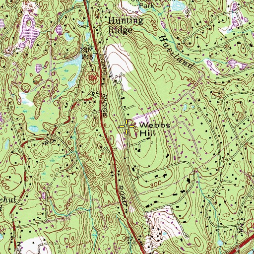 Topographic Map of Webbs Hill, CT