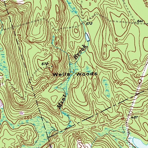 Topographic Map of Wells Woods, CT
