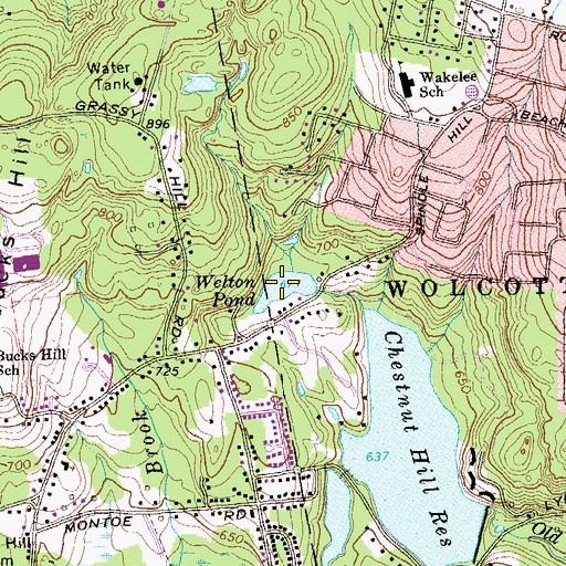 Topographic Map of Welton Pond, CT