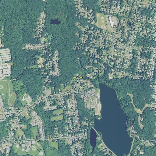 Aerial/Satellite Image of Welton Pond, CT