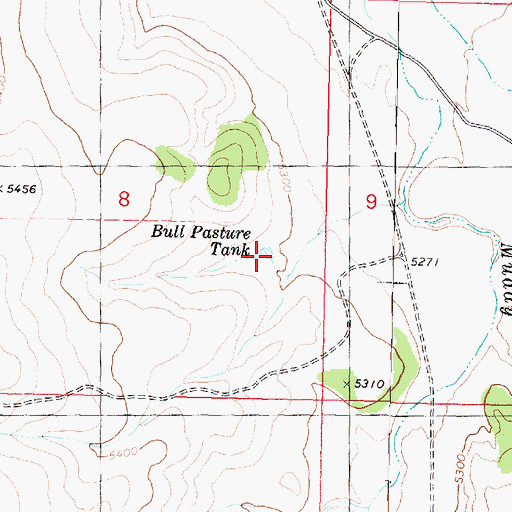 Topographic Map of Bull Pasture Tank, AZ