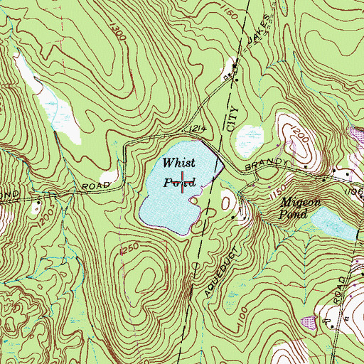 Topographic Map of Whist Pond, CT