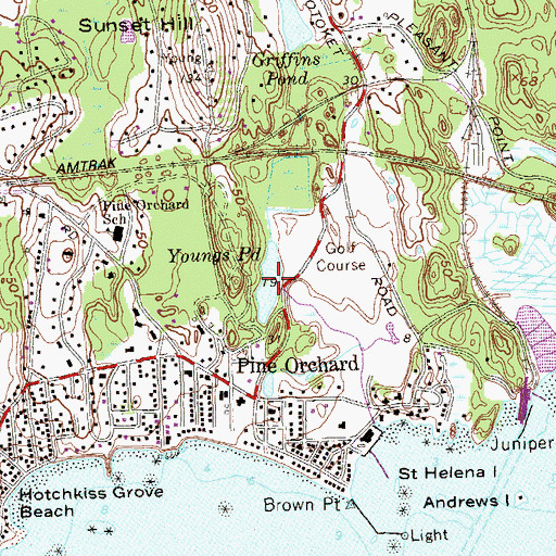 Topographic Map of Youngs Pond, CT