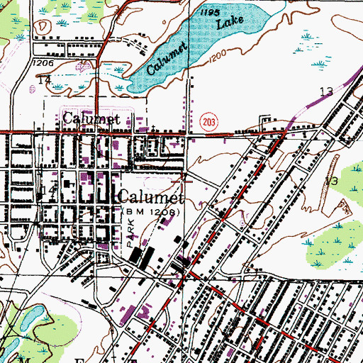 Topographic Map of Apostolic Lutheran Home, MI