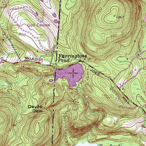 Topographic Map of Farringtons Pond, CT