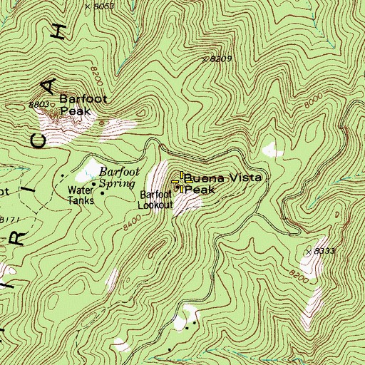 Topographic Map of Buena Vista Peak, AZ