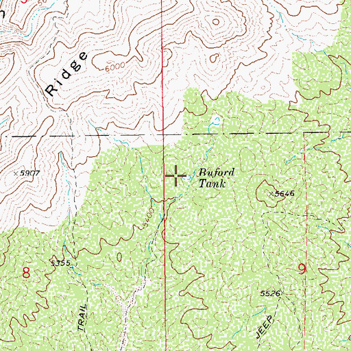 Topographic Map of Buford Tank, AZ