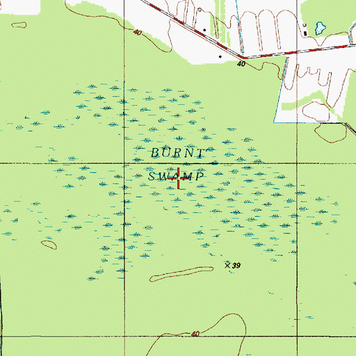 Topographic Map of Burnt Swamp, DE