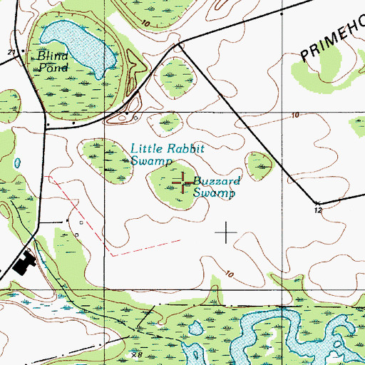 Topographic Map of Buzzard Swamp, DE