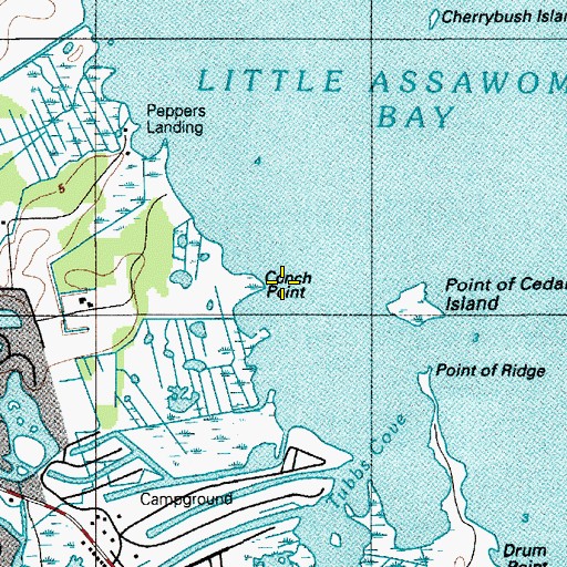 Topographic Map of Conch Point, DE