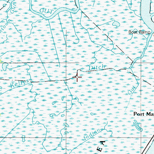 Topographic Map of Kellys Ditch, DE
