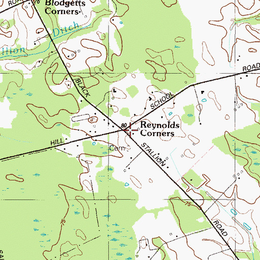 Topographic Map of Reynolds Corners, DE