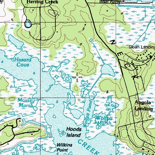 Topographic Map of Wolfpit Marsh, DE