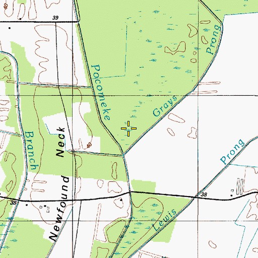 Topographic Map of Grays Prong, DE