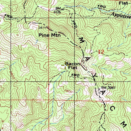 Topographic Map of Bacon Flat, CA