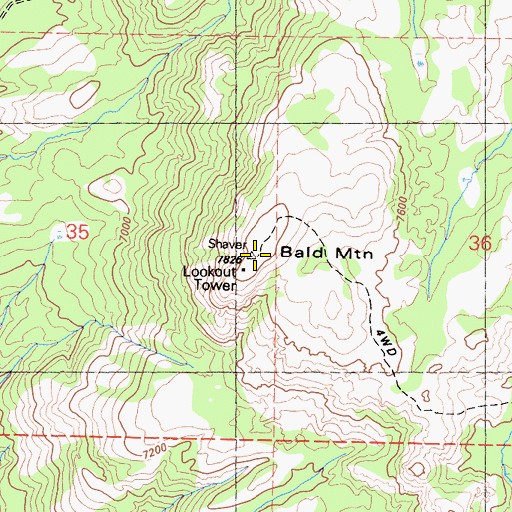 Topographic Map of Bald Mountain, CA