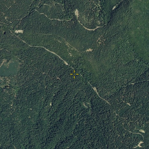 Aerial/Satellite Image of Bear Wallow Camp, CA