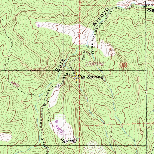 Topographic Map of Big Spring, CA