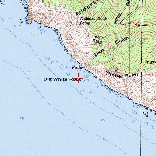 Topographic Map of Big White Rock, CA