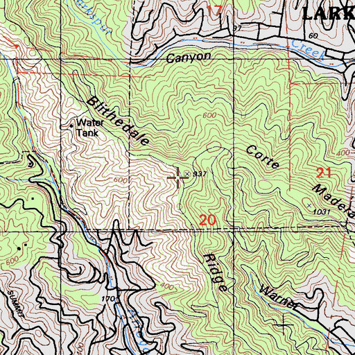 Topographic Map of Blithedale Ridge, CA