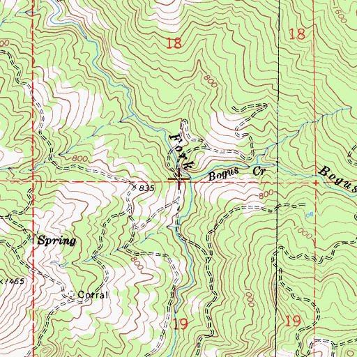 Topographic Map of Bogus Creek, CA