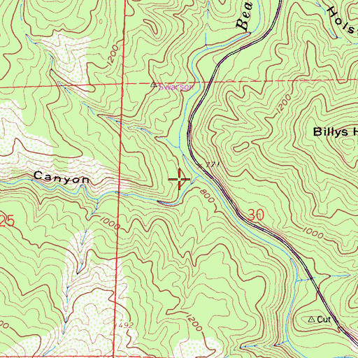 Topographic Map of Brophy Canyon, CA