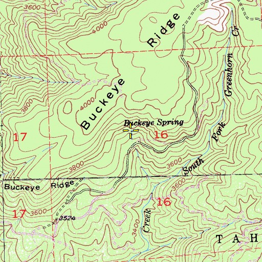 Topographic Map of Buckeye Spring, CA
