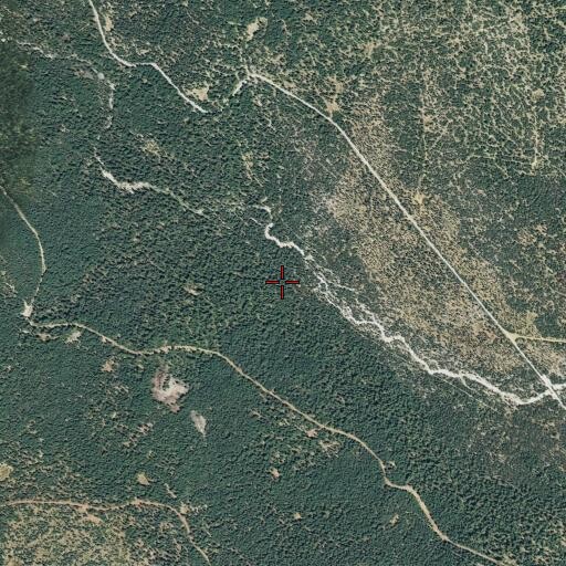 Aerial/Satellite Image of Bunchgrass Creek, CA
