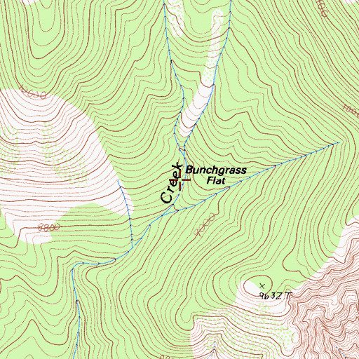 Topographic Map of Bunchgrass Flat, CA