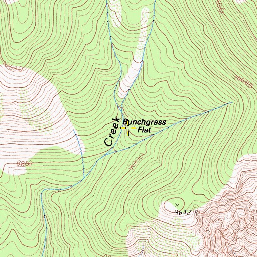Topographic Map of Bunchgrass Flat, CA