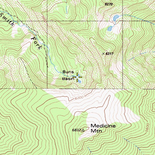 Topographic Map of Buns Basin, CA
