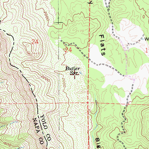 Topographic Map of Butler Spring, CA
