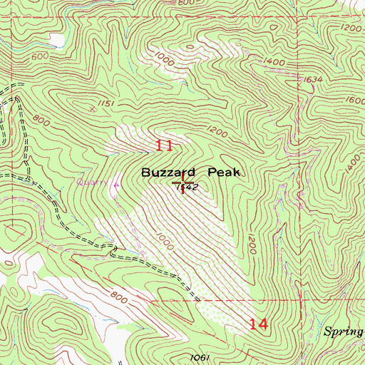 Topographic Map of Buzzard Peak, CA