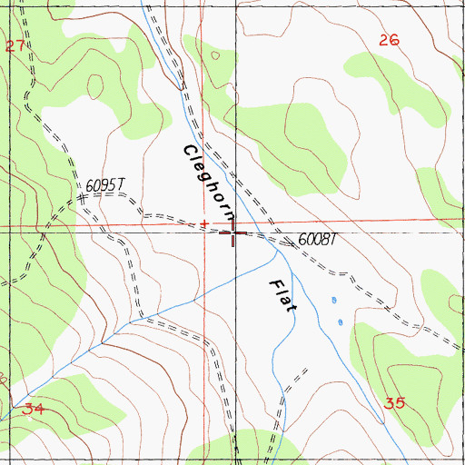 Topographic Map of Cleghorn Flat, CA