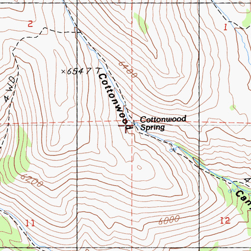 Topographic Map of Cottonwood Spring, CA