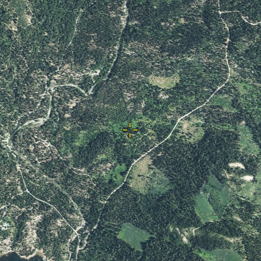 Aerial/Satellite Image of Coyote Spring, CA