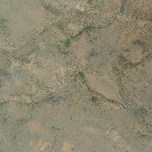 Aerial/Satellite Image of Craemer Springs, CA