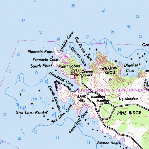 Topographic Map of Cypress Grove, CA