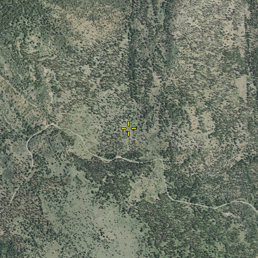 Aerial/Satellite Image of Diaz Spring, CA