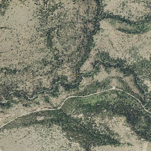 Aerial/Satellite Image of Dry Creek, CA