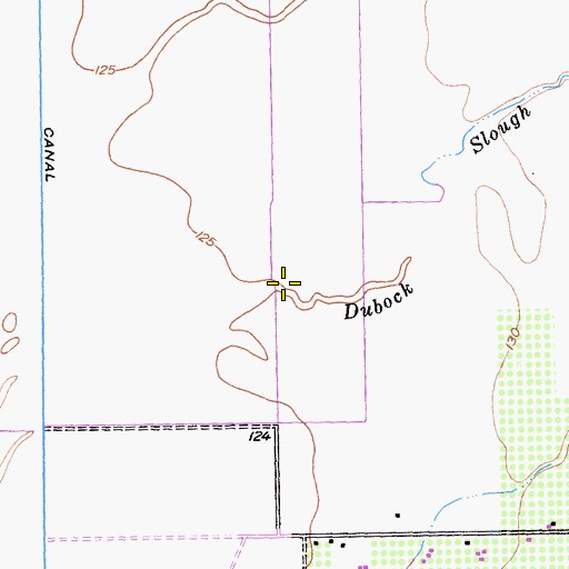 Topographic Map of Dubock Slough, CA
