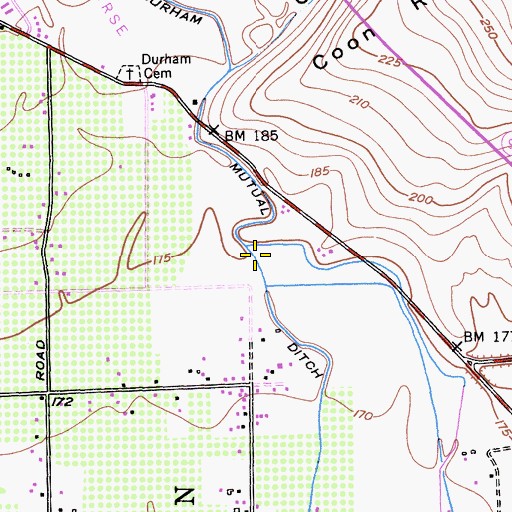 Topographic Map of Durham Mutual Ditch, CA