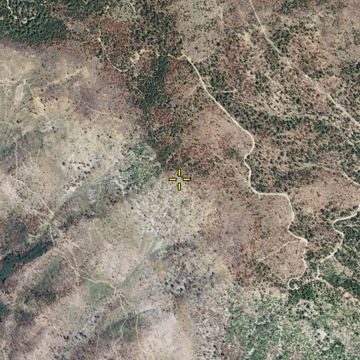 Aerial/Satellite Image of Eagle Rock, CA