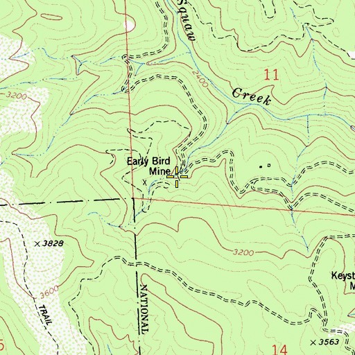 Topographic Map of Early Bird Mine, CA