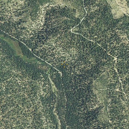 Aerial/Satellite Image of Edge Cabin Spring, CA