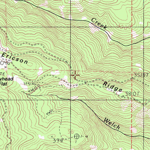 Topographic Map of Ericson Ridge, CA
