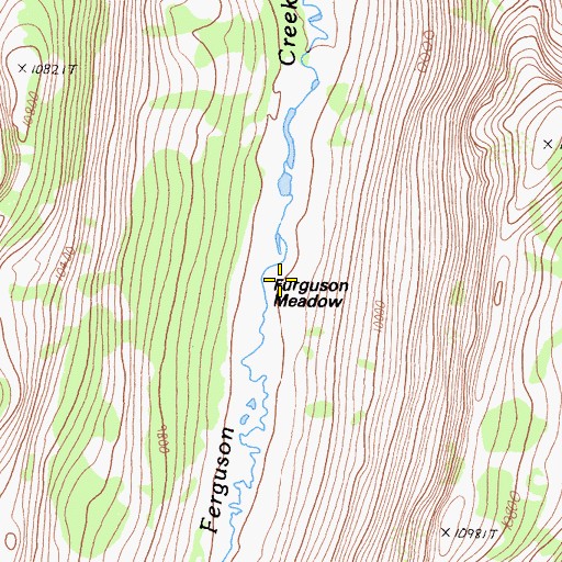 Topographic Map of Ferguson Meadow, CA