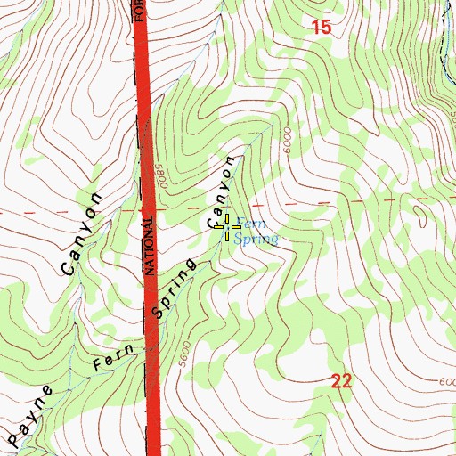 Topographic Map of Fern Spring, CA