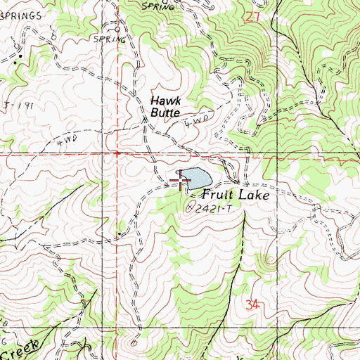 Topographic Map of Fruit Lake, CA